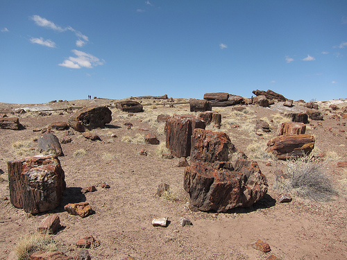 Petrified Forest National Park